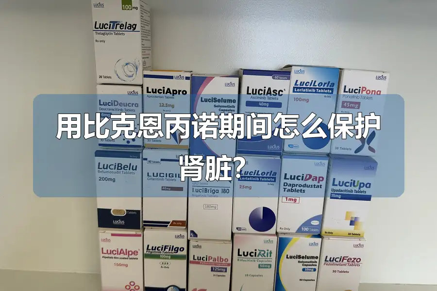 用比克恩丙诺期间怎么保护肾脏?